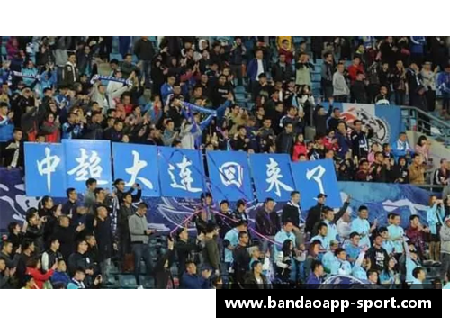 国内球员：峥嵘岁月与逐梦征程
