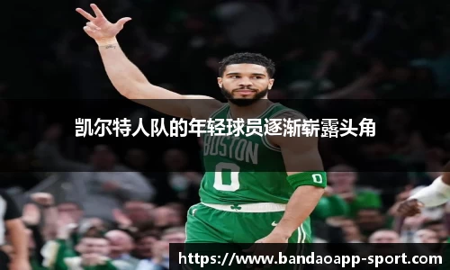 半岛体育