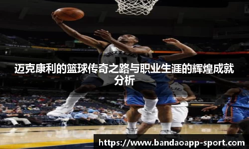 半岛体育
